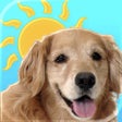 Ikona programu: Sundoggy