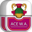 プログラムのアイコン：Ace Wins All