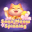 Programikonen: Sona Meow Spinning