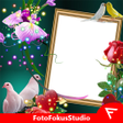 程序图标：Love Birds Insta DP : Bir…