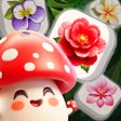 程序图标：Dreamy Garden