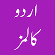 Programın simgesi: Urdu Columns