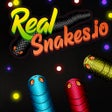 Ikon program: Real Snakes.io