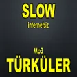 ไอคอนของโปรแกรม: TÜRKÜLER-İNTERNETSİZ