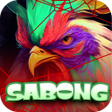 Ikon program: Bling Color Game Sabong