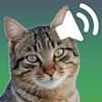 ไอคอนของโปรแกรม: Sounds of cats