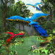 プログラムのアイコン：3D Rainforest Live Wallpa…