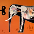 程序图标：Mammals by Tinybop
