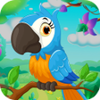 Icoon van programma: Bird Sort Match