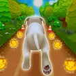 Pet Run - Puppy Dog Run Game