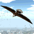 程序图标：Eagle Bird City Simulator…