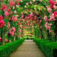 Pictogram van programma: Garden Wallpapers