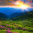 Icon of program: Nature HD Wallpapers