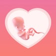 プログラムのアイコン：Pregnancy Tracker - BabyI…
