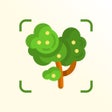 Ikon program: TreeID - Tree Identifier