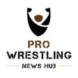 プログラムのアイコン：Pro Wrestling News Hub