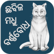 Ikon program: Barnabodha