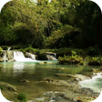 プログラムのアイコン：Forest Stream Live Wallpa…