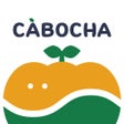 プログラムのアイコン: CABOCHA