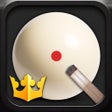 程序图标：World Championship Billia…