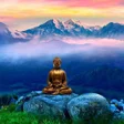 Иконка программы: Buddha Wallpapers