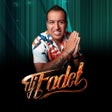ไอคอนของโปรแกรม: Dj Fadet