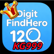 Ikon program: KG999 DigitFindHero