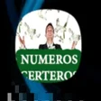 プログラムのアイコン：Numeros Certeros