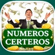 プログラムのアイコン：Numeros Certeros