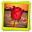 Icon of program: 3D Rose Live Wallpaper