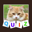 程序图标：Animal Quiz
