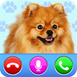 Icon of program: Video call from cute dog …