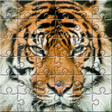 程序图标：Puzzle Zoo
