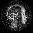 Иконка программы: Introduction to Psycholog…