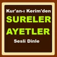 程序图标：Sureler ve Ayetler Dinle …
