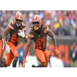 Cleveland Browns Themes & New Tab