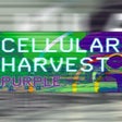 Cellular Harvest: Purple icon