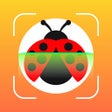 プログラムのアイコン: Insect ID Bug Identifier