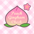 Programikonen: Peach Gingham Check Theme