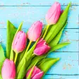 Flower Wallpaper Pink Tulips