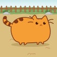 프로그램 아이콘: Cat Evolution - Breed  Ev…