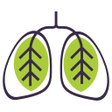 Icon of program: Powietrze w Opolu