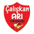 Programikonen: Çalışkan Arı Optik Okuma