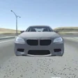 程序图标：M5 E60 Driving Simulator