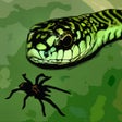 ไอคอนของโปรแกรม: Tarantula vs Snake