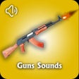 Ikon program: Weapon Sounds
