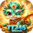 Symbol des Programms: TT345Weave