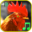 Programın simgesi: Funny Alarm Clock Rington…