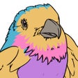 Ikon program: Birdle