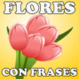 程序图标：Flores Con Frases